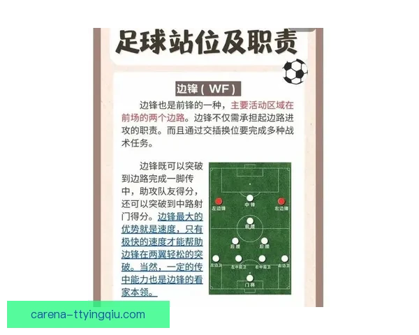 足球网全面解析国内外赛事资讯与球迷互动最新动态指南