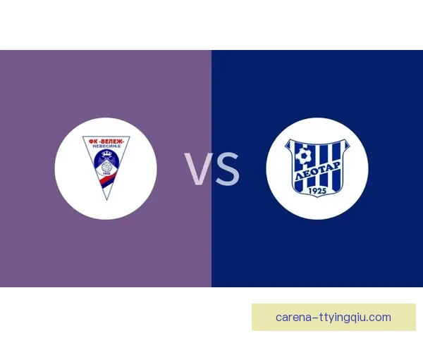 苏捷斯卡大胜维勒兹内韦西涅全场精彩回顾与数据分析